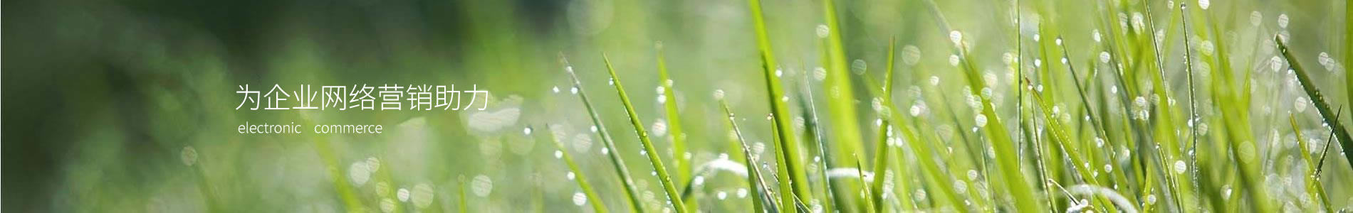㶫ݸнƼ޹˾